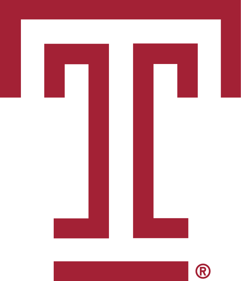 Temple Owls 2020-Pres Primary Logo diy iron on heat transfer